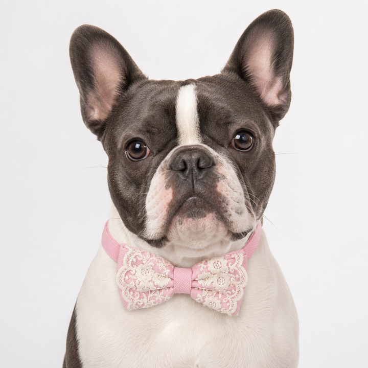 Soft Pink Ring Bearer Dog Bow Tie Collar with Floral Lace Embroidery