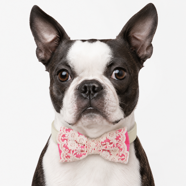 Blush Pink Ring Bearer Dog Bow Tie Collar with Floral Lace Embroidery