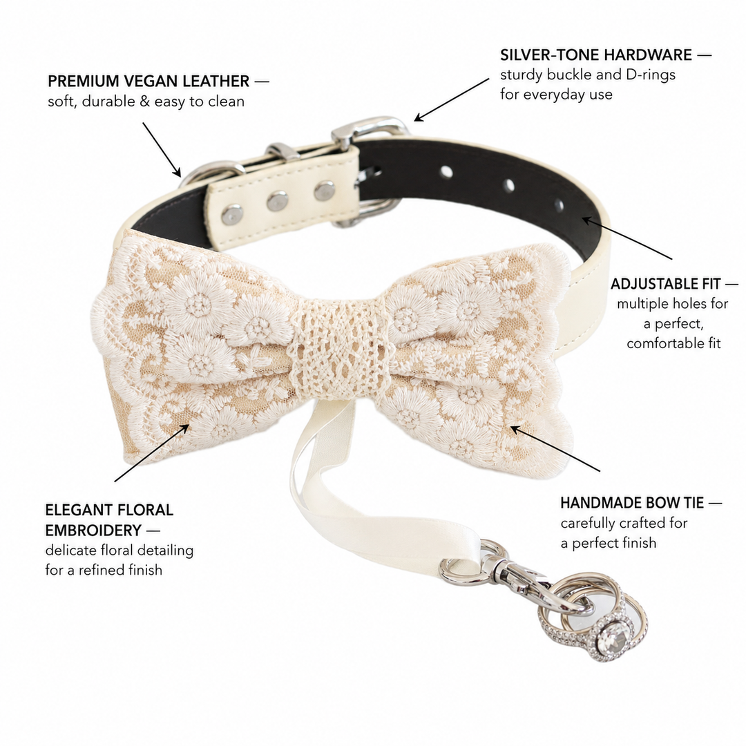 Ivory Champagne Ring Bearer Dog Bow Tie Collar with Floral Lace Embroidery