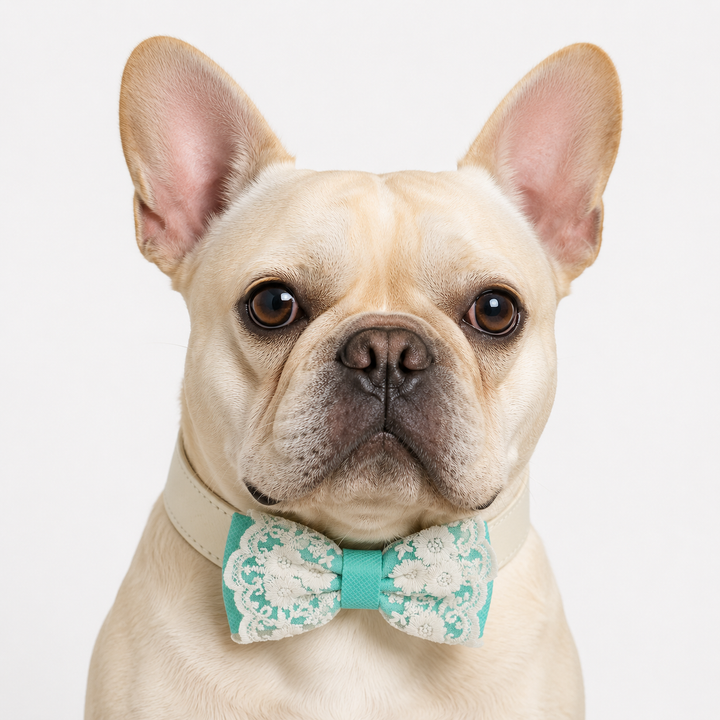 Mint Green Lace Wedding Dog Bow Tie Collar with Ivory Floral Embroidery