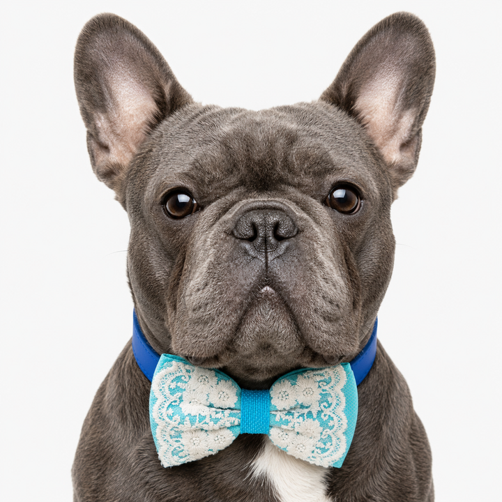 Turquoise Blue Lace Wedding Dog Bow Tie Collar with Ivory Floral Embroidery