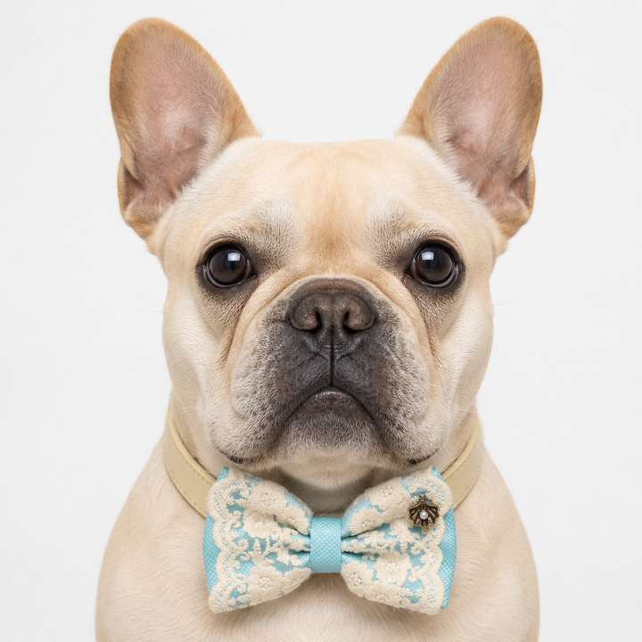 Sky Blue Lace Wedding Dog Bow Tie Collar with Ivory Floral Embroidery and Pearl Charm