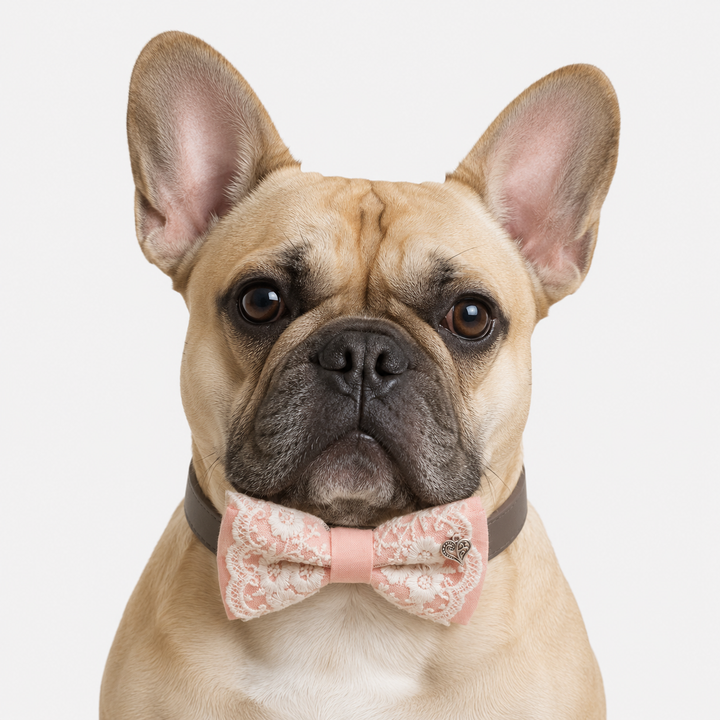 Soft Peach Lace Wedding Dog Bow Tie Collar with Ivory Floral Embroidery and Heart Charm
