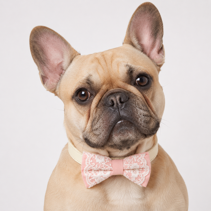 Soft Pink Lace Wedding Dog Bow Tie Collar with Ivory Floral Embroidery