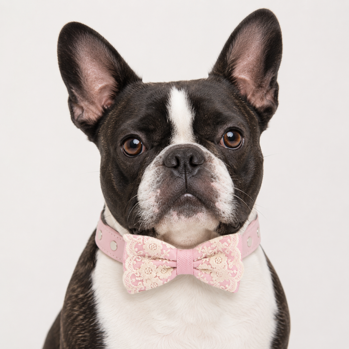Peach Blush Ring Bearer Dog Bow Tie Collar with Ivory Floral Lace Embroidery