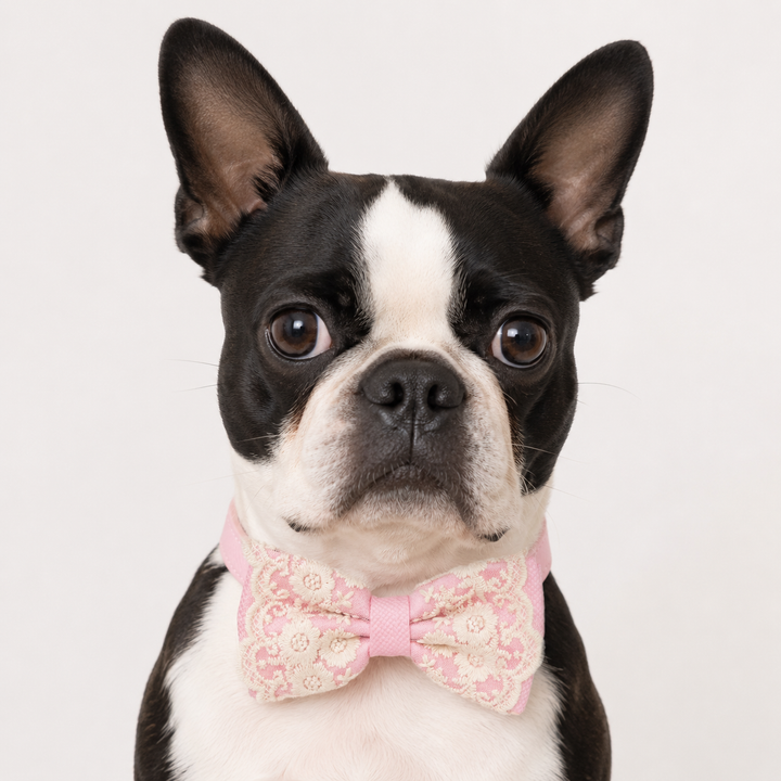Blush Pink Ring Bearer Dog Bow Tie Collar with Ivory Floral Lace Embroidery