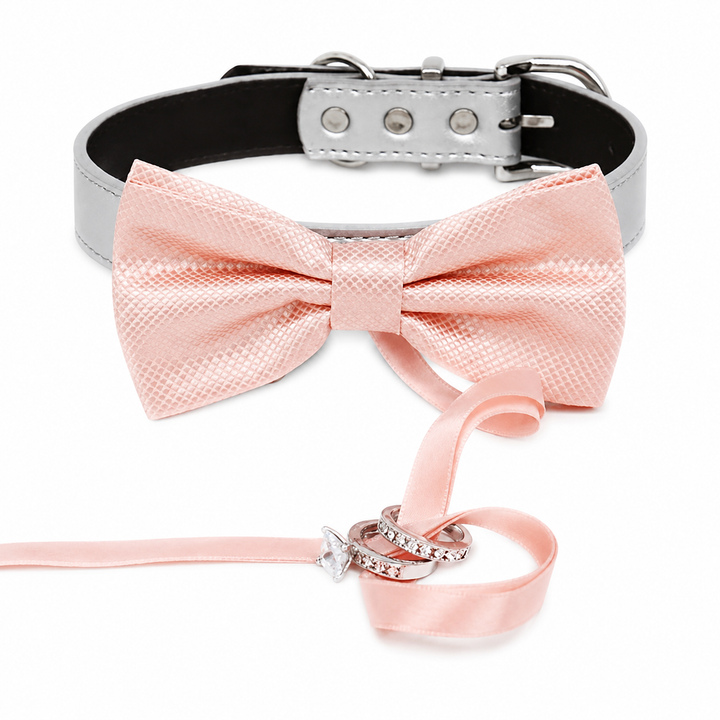 Blush Pink Ring Bearer Dog Bow Tie Collar with Wedding Ring Ribbon and Silver Vegan Leather Collar