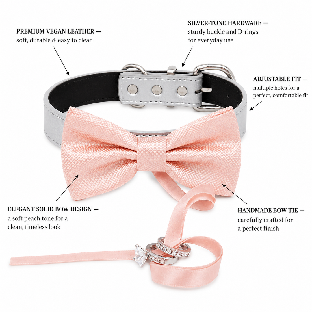 Blush Pink Ring Bearer Dog Bow Tie Collar with Wedding Ring Ribbon and Silver Vegan Leather Collar