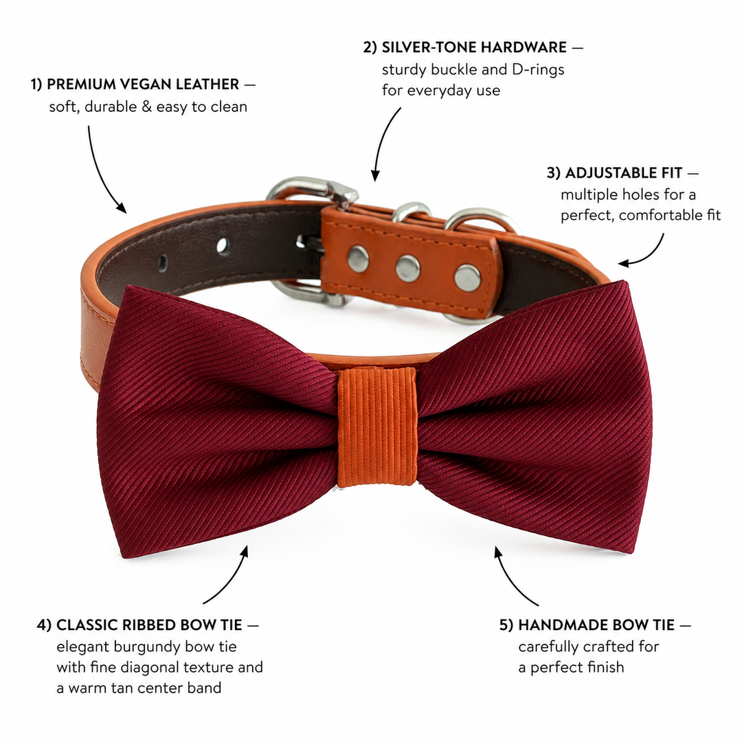 Burgundy Ring Bearer Dog Bow Tie Collar with Cognac Vegan Leather Collar