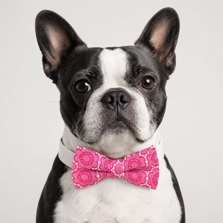 Hot pink floral ring bearer dog bow tie collar with white vegan leather collar