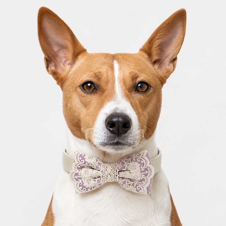 Lavender Ring Bearer Dog Bow Tie Collar with Ivory Floral Lace Embroidery