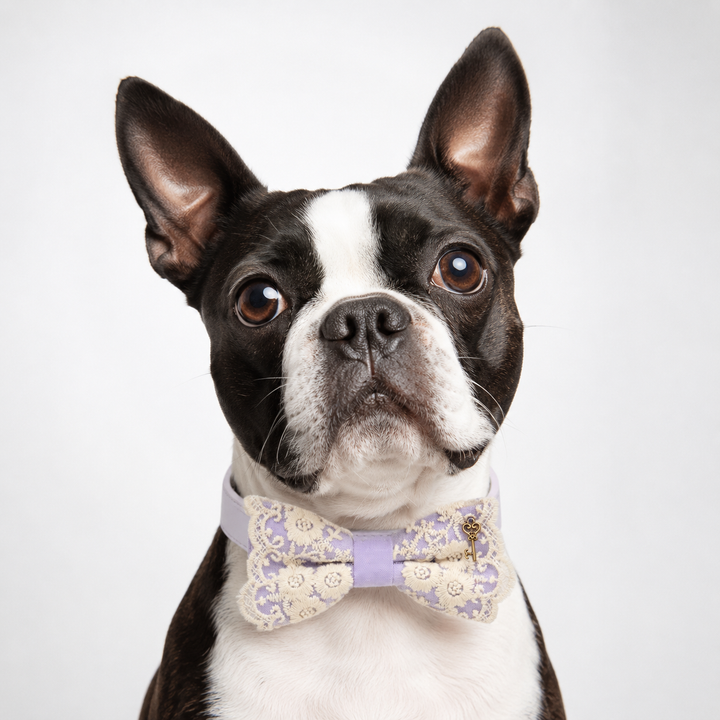 Lavender Vintage Ring Bearer Dog Bow Tie Collar with Antique Key Charm