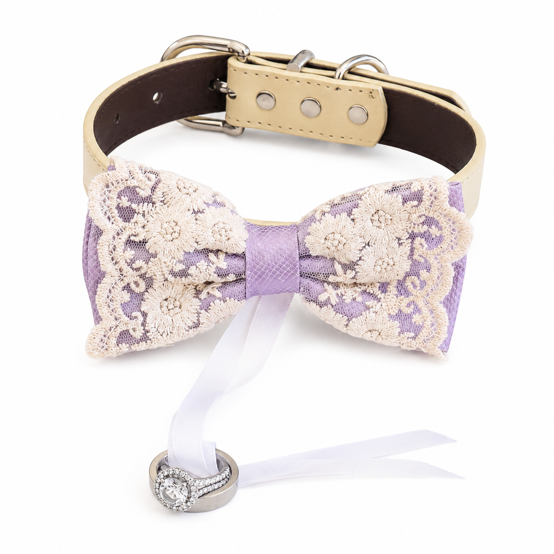 Lilac Lace Bow Tie Dog Collar With Chalkboard Sign For Proposals Marry Me Wedding Photos