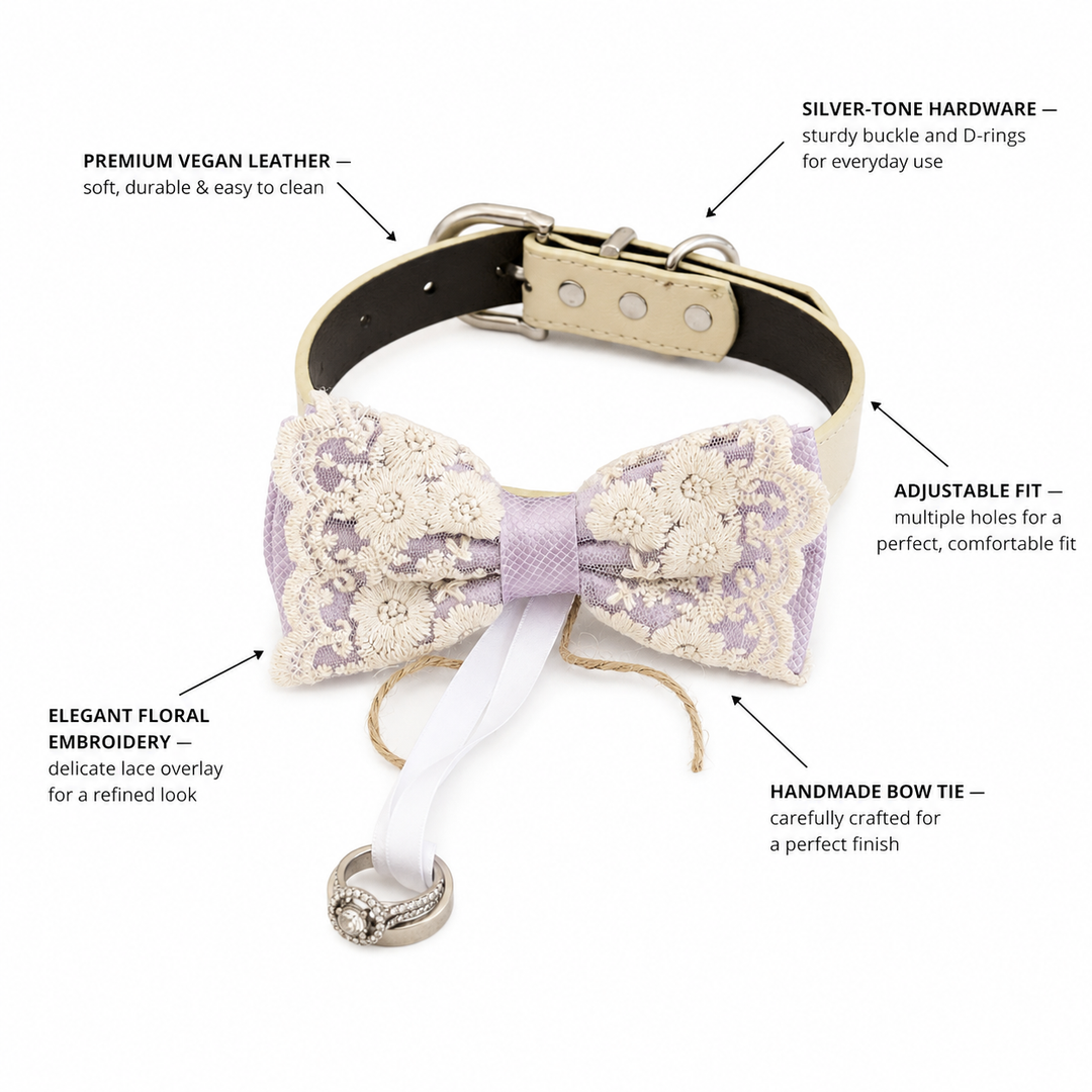 Lilac Lace Bow Tie Dog Collar With Chalkboard Sign For Proposals Marry Me Wedding Photos