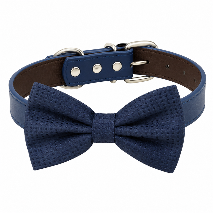 Navy Blue Ring Bearer Wedding Dog Bow Tie Collar with Adjustable Royal Blue Vegan Leather Collar