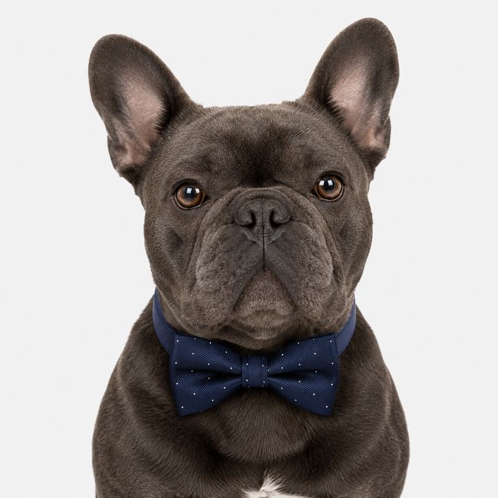 Navy Blue Ring Bearer Wedding Dog Bow Tie Collar with Decorative Ring Holder and Adjustable Navy Vegan Leather Collar