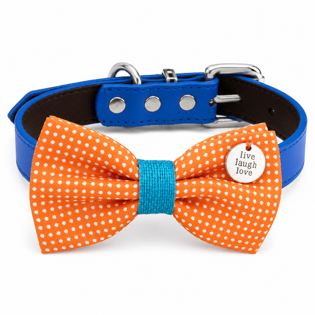 Orange Polka Dot Ring Bearer Dog Bow Tie Collar with Live Laugh Love Charm and Blue Vegan Leather Collar