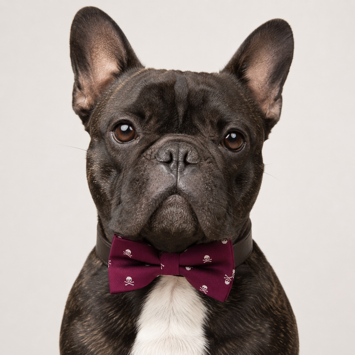 Burgundy Skull Pattern Ring Bearer Dog Bow Tie Collar with Brown Vegan Leather Collar