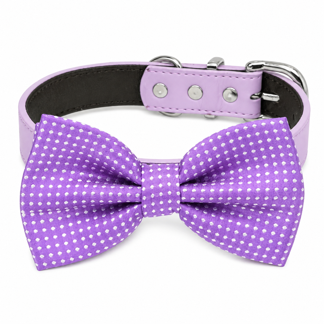 Purple Polka Dot Ring Bearer Wedding Dog Bow Tie Collar with Adjustable Lilac Vegan Leather Collar
