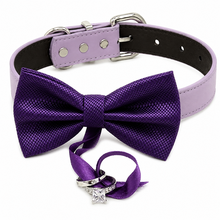 Purple Ring Bearer Dog Bow Tie Collar with Ring Ribbon and Lilac Vegan Leather Collar