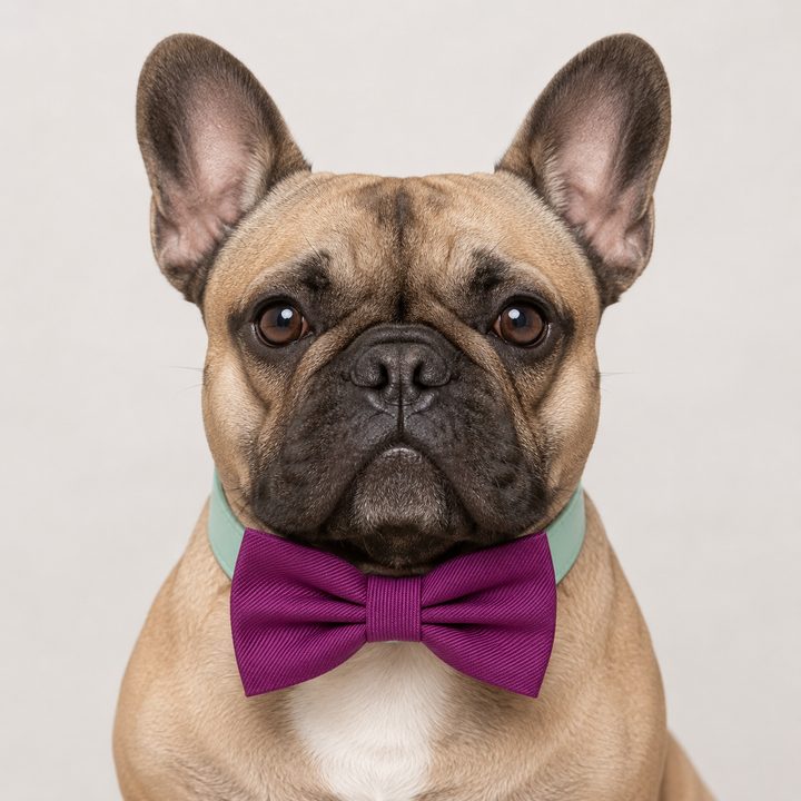 Magenta Purple Ring Bearer Dog Bow Tie Collar with Mint Vegan Leather Collar
