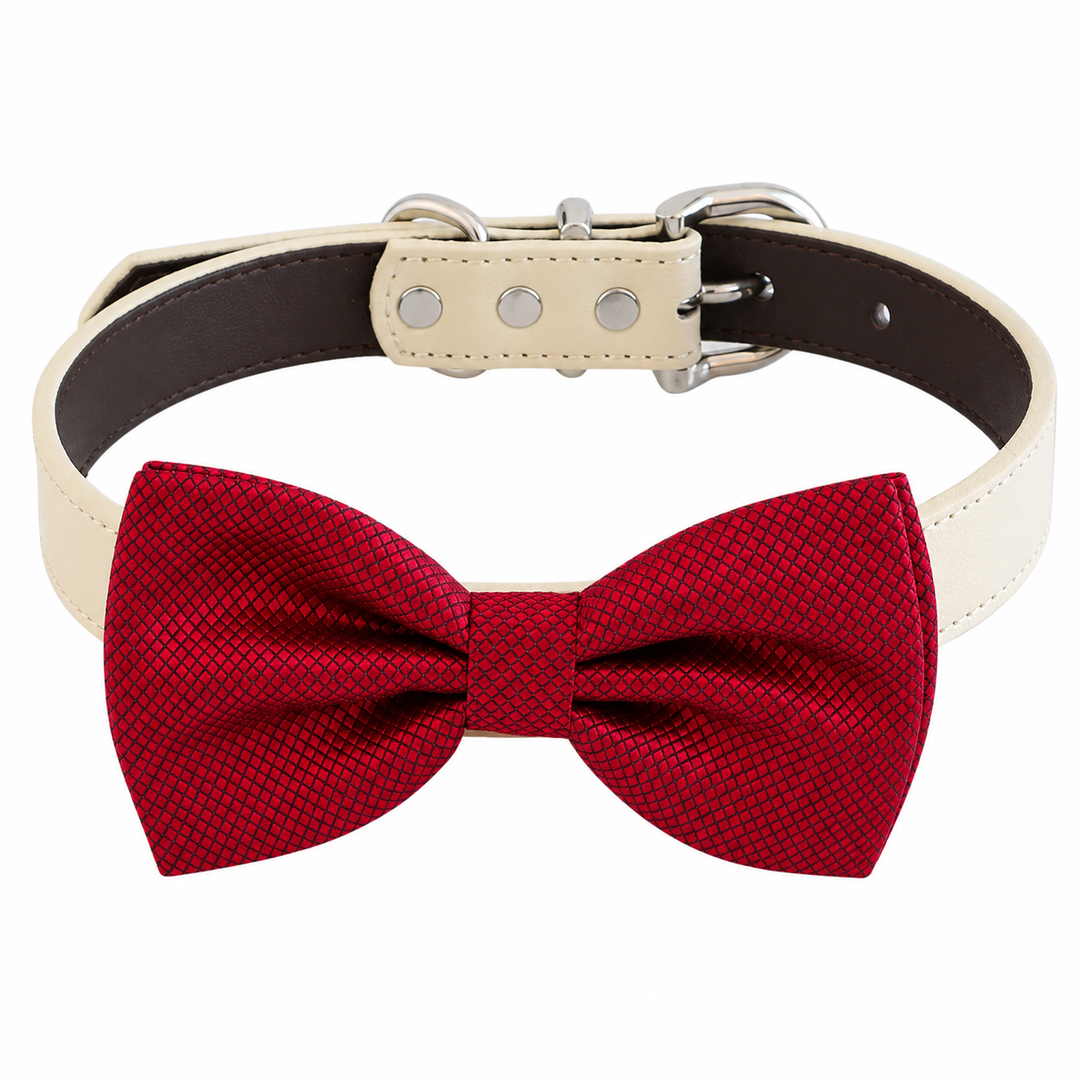 Luxury Red Ring Bearer Dog Bow Tie Collar with Ivory Vegan Leather Collar