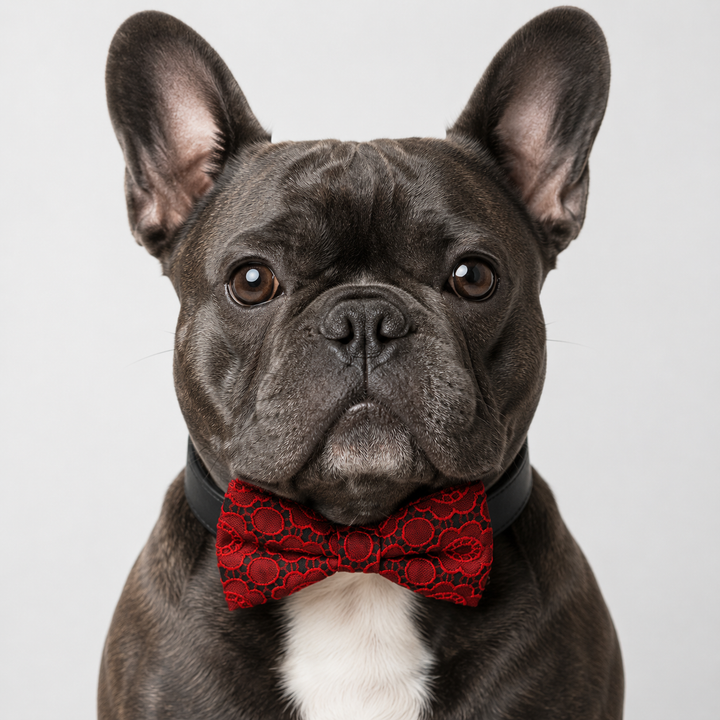 Red Floral Lace Ring Bearer Dog Bow Tie Collar with Black Vegan Leather Collar
