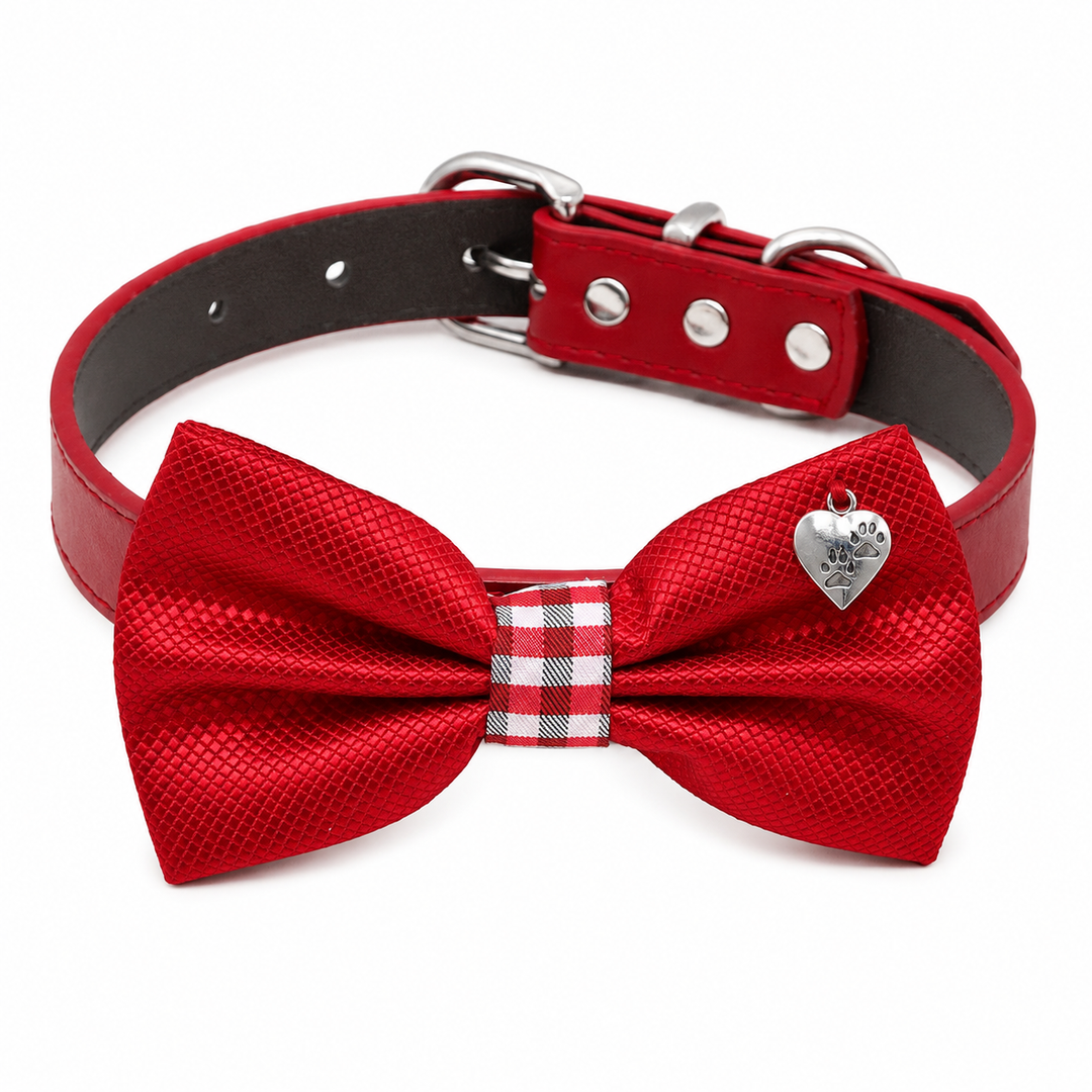 Red Ring Bearer Dog Bow Tie Collar with Steel Heart Paw Charm and Red Vegan Leather Collar