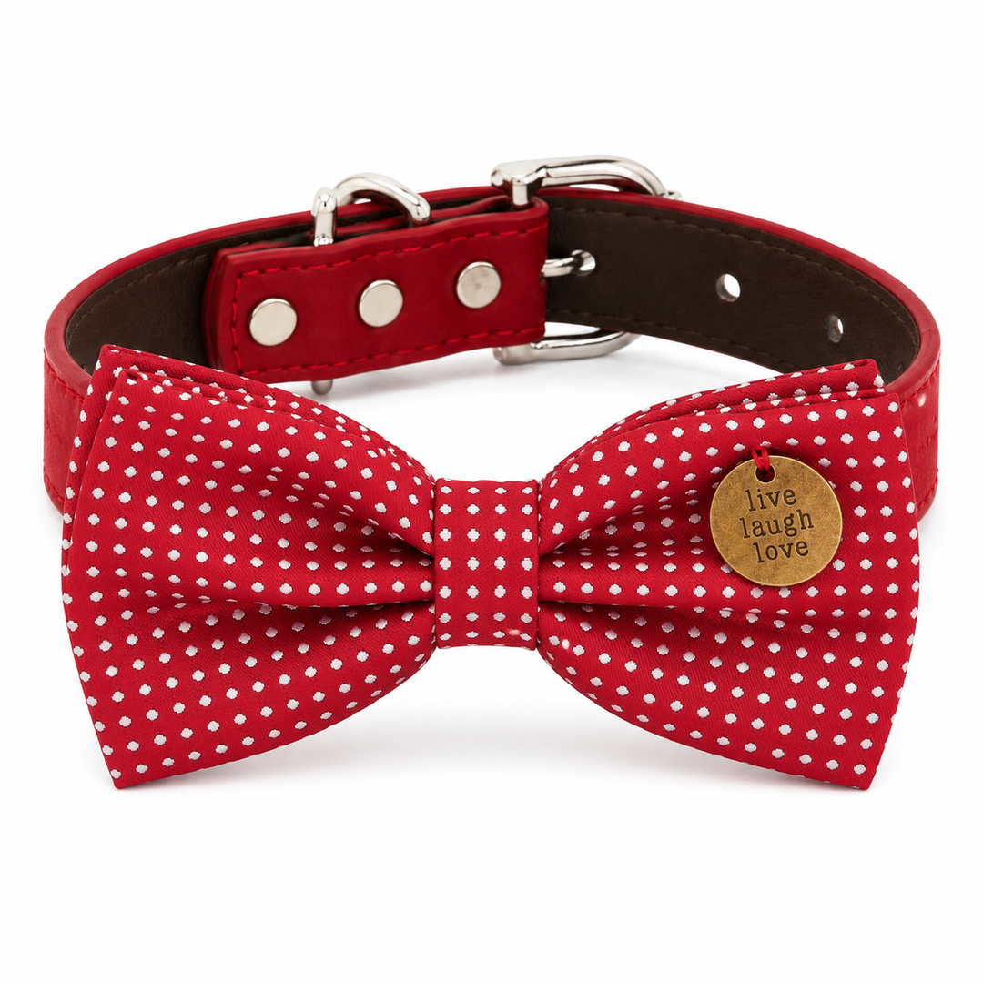Red Polka Dot Ring Bearer Dog Bow Tie Collar with Red Vegan Leather Collar