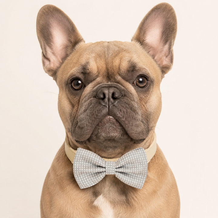 Light Gray Polka Dot Ring Bearer Dog Bow Tie Collar with Cream Vegan Leather Collar