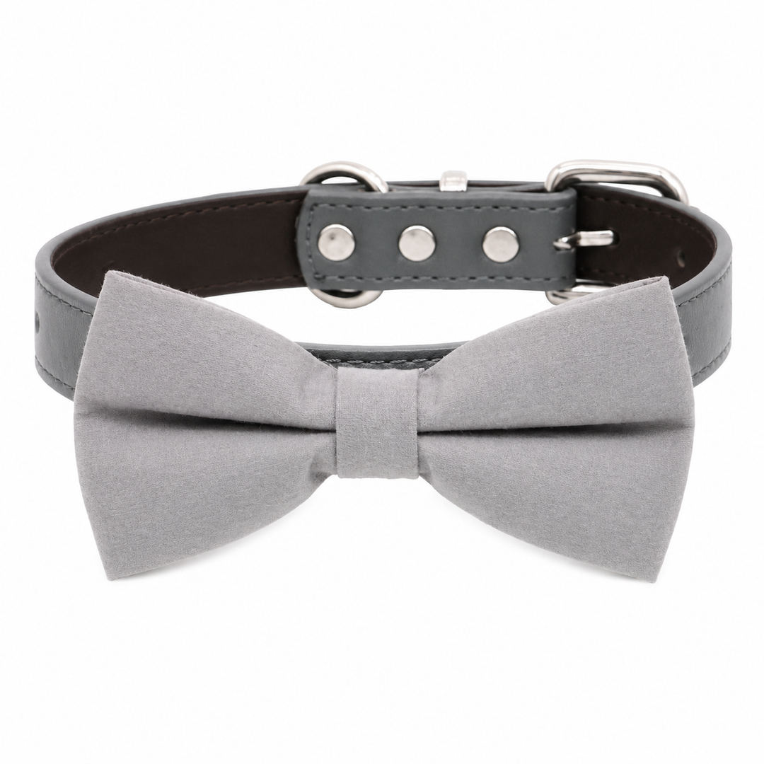 Light Gray Ring Bearer Dog Bow Tie Collar with Adjustable Black Vegan Leather Collar