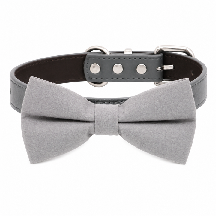 Light Gray Ring Bearer Dog Bow Tie Collar with Adjustable Black Vegan Leather Collar