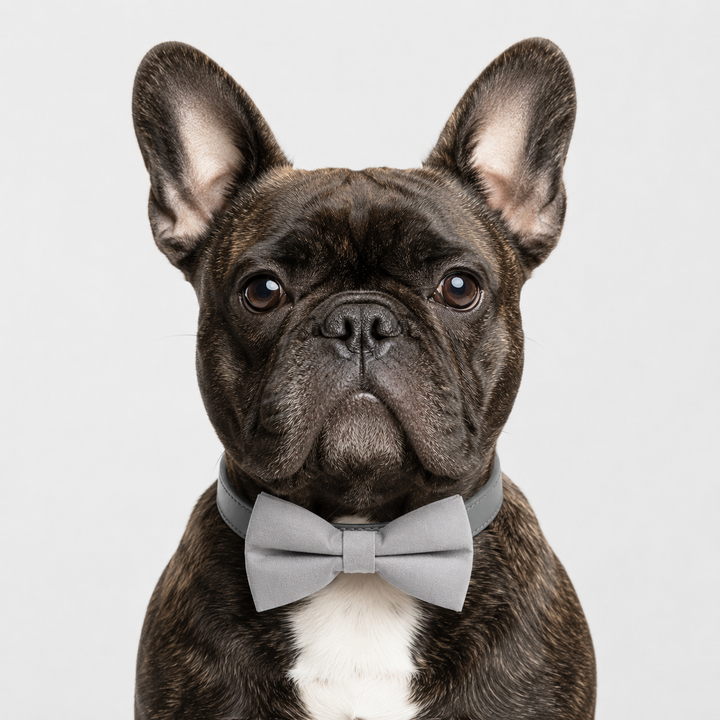 Light Gray Ring Bearer Dog Bow Tie Collar with Adjustable Black Vegan Leather Collar