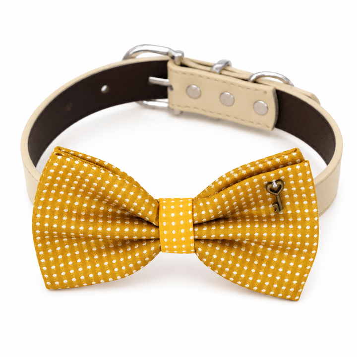 Mustard Polka Dot Key Charm Ring Bearer Wedding Dog Bow Tie Collar with Adjustable Ivory Vegan Leather Collar