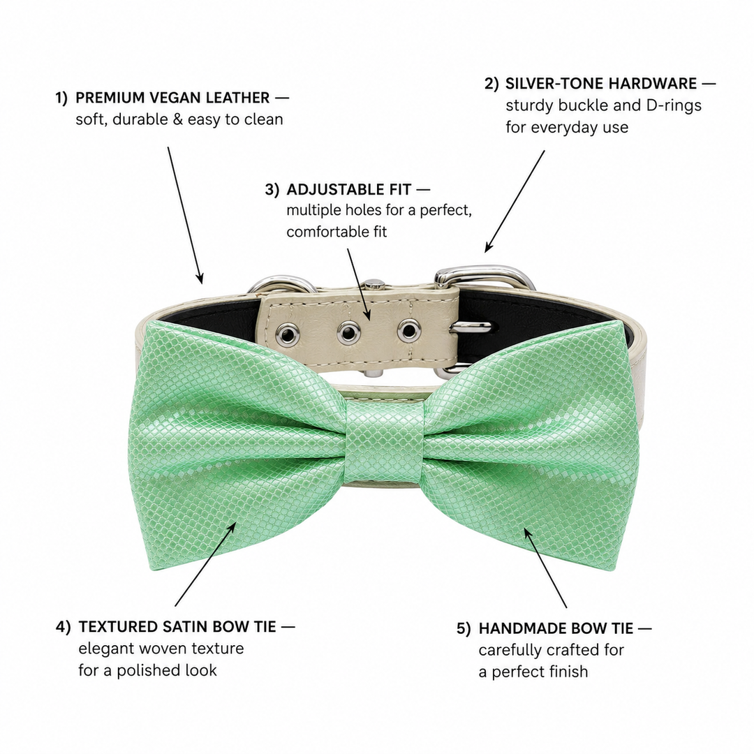 Mint Green Ring Bearer Wedding Dog Bow Tie Collar with Adjustable Ivory Vegan Leather Collar