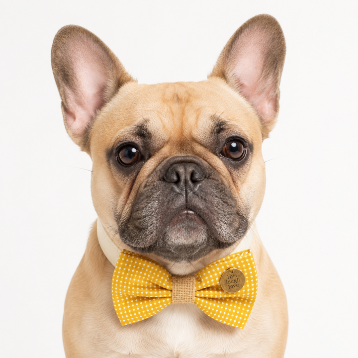 Mustard Polka Dot Live Laugh Love Ring Bearer Wedding Dog Bow Tie Collar with Adjustable Brown Vegan Leather Collar