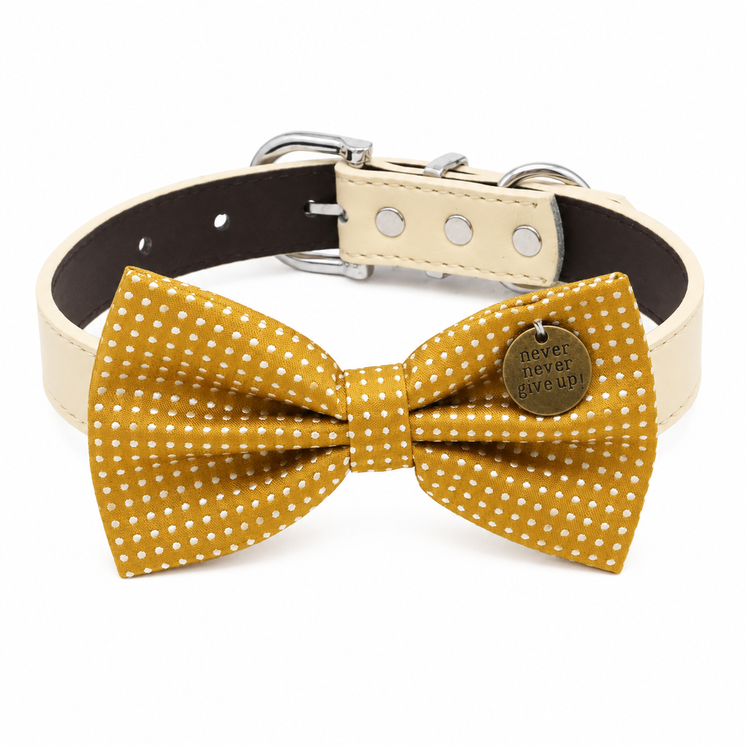 Mustard Polka Dot Ring Bearer Wedding Dog Bow Tie Collar with Adjustable Royal Blue Vegan Leather Collar