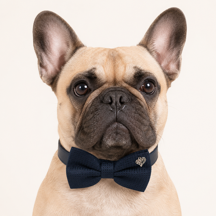Navy Blue Heart Charm Ring Bearer Wedding Dog Bow Tie Collar with Adjustable Navy Vegan Leather Collar