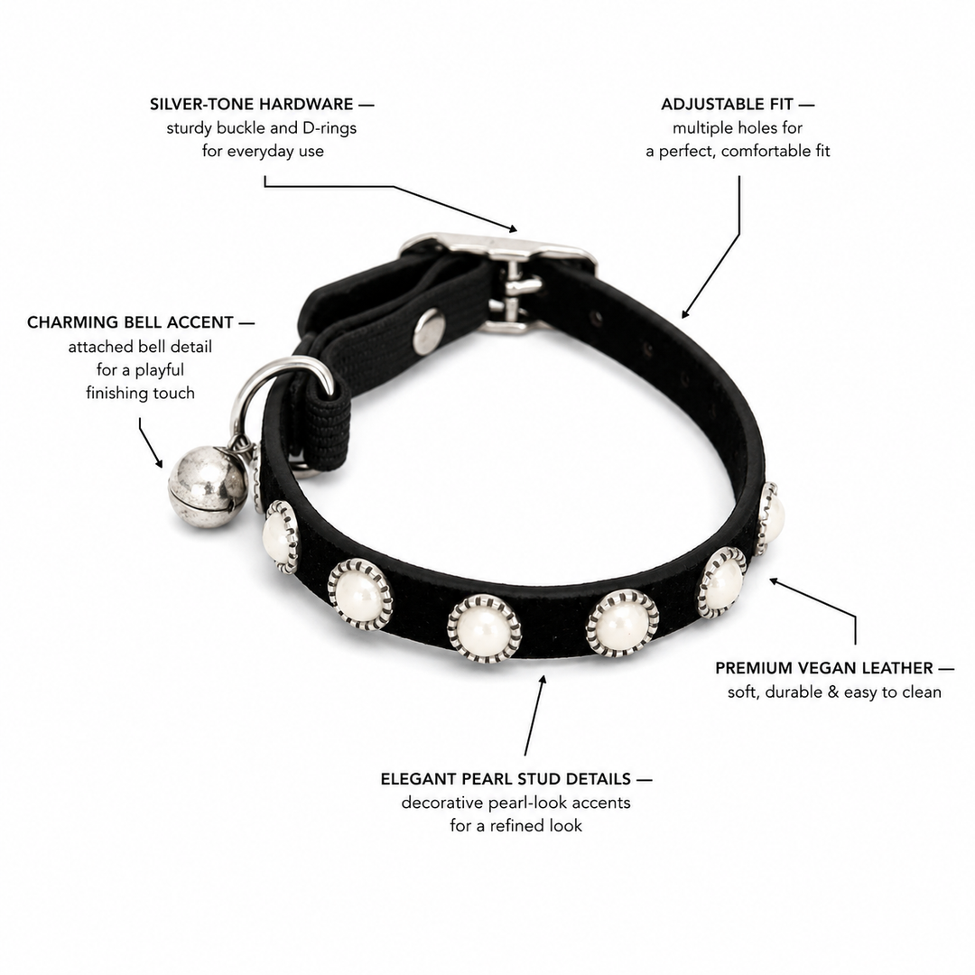 Black Dog Collar with Pearl Studs and Bell Charm