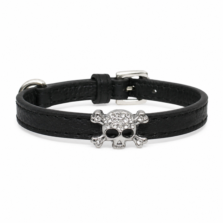 Black Dog Collar with Rhinestone Skull Charm