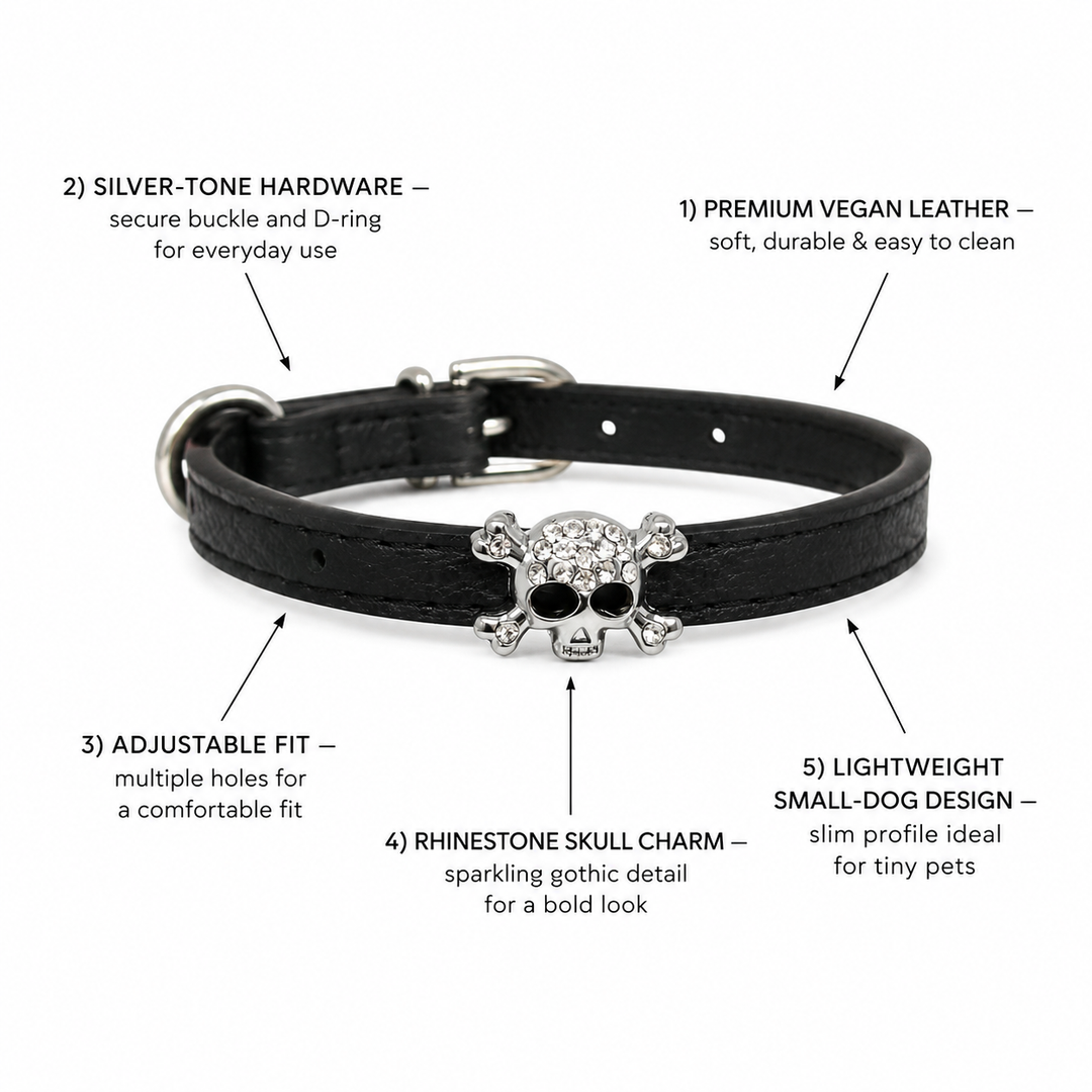 Black Dog Collar with Rhinestone Skull Charm