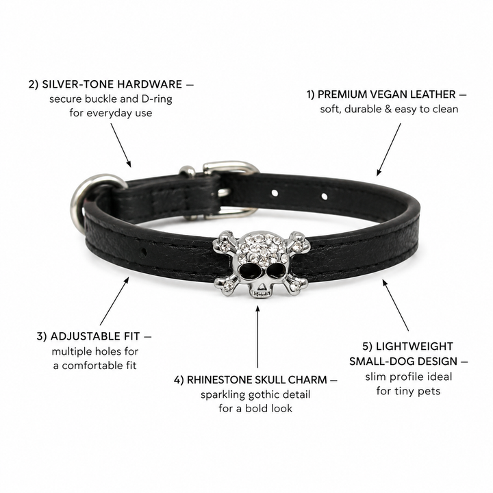 Black Dog Collar with Rhinestone Skull Charm
