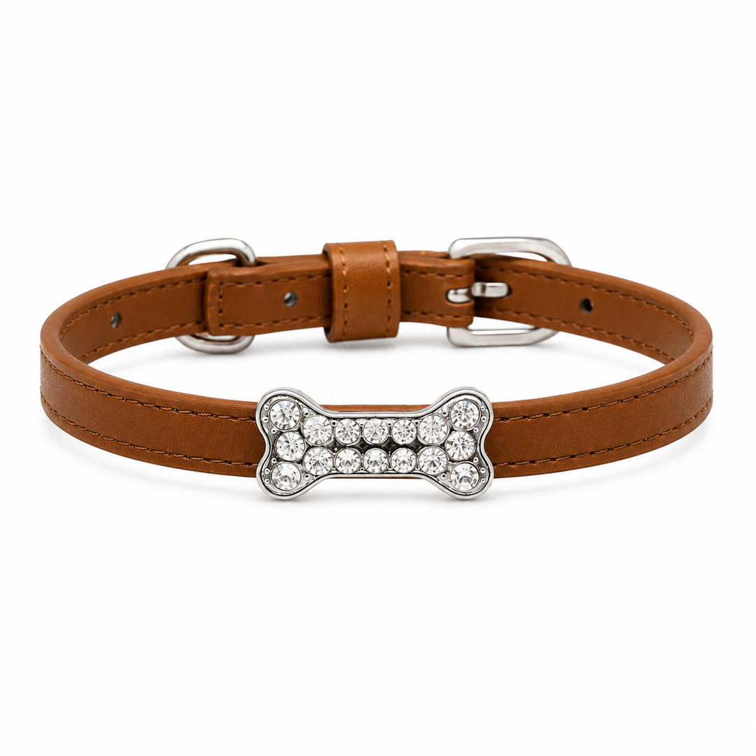 Leather Dog Cat Collar With Charm XS Size Puppy Kitten Pet Collar Wedding Style Premium