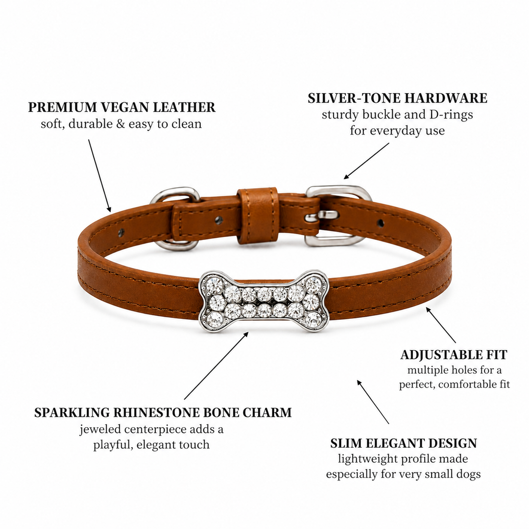 Leather Dog Cat Collar With Charm XS Size Puppy Kitten Pet Collar Wedding Style Premium
