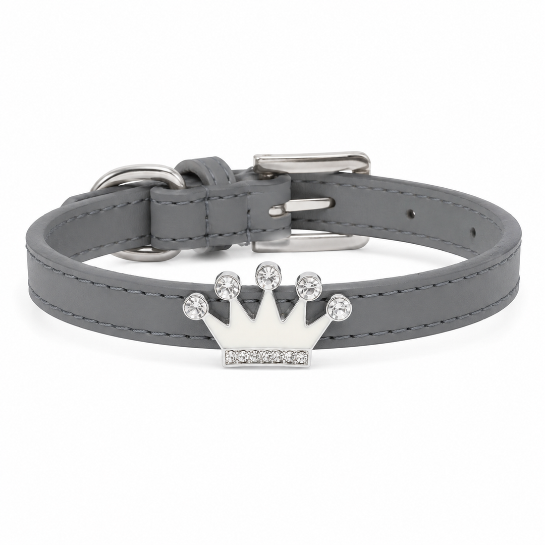Dog Cat Leather Collar With Charm XS Collars Puppy Kitten Cat Pet Collar Black Brown Copper Red Pink Purple Royal Blue