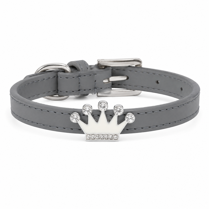 Dog Cat Leather Collar With Charm XS Collars Puppy Kitten Cat Pet Collar Black Brown Copper Red Pink Purple Royal Blue