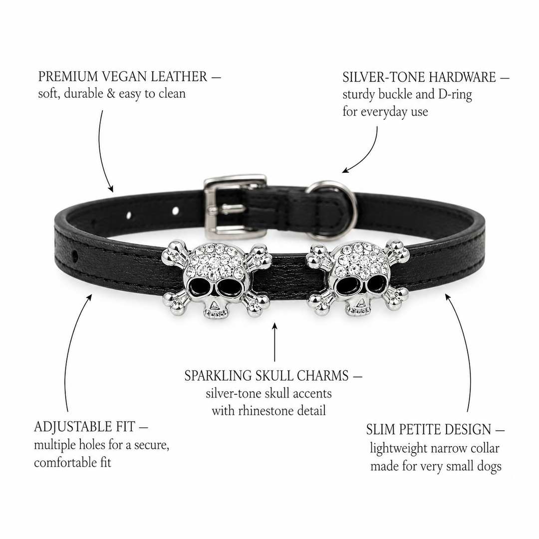 Leather Dog and Cat Collar with Skull Charm XS Size Puppy Kitten Pet Collar in Multiple Colors