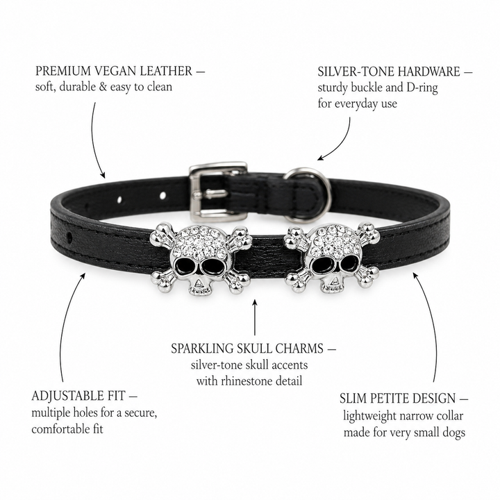 Leather Dog and Cat Collar with Skull Charm XS Size Puppy Kitten Pet Collar in Multiple Colors