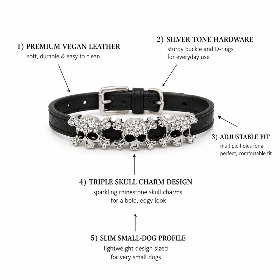 Leather Dog Cat Collar With Charm XS For Puppy Kitten Pet Collar In Black Brown Red Pink Navy Green Blue