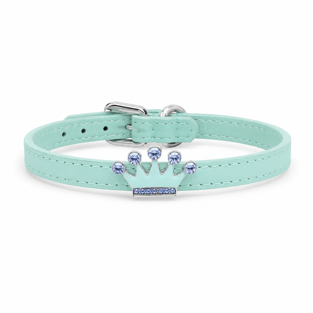 Leather Dog Cat Collar With Charm Wedding XS Size Puppy Kitten Collar Pet Collar In Multiple Colors